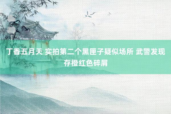 丁香五月天 实拍第二个黑匣子疑似场所 武警发现存橙红色碎屑
