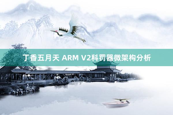 丁香五月天 ARM V2科罚器微架构分析