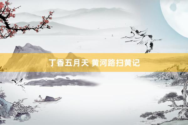 丁香五月天 黄河路扫黄记