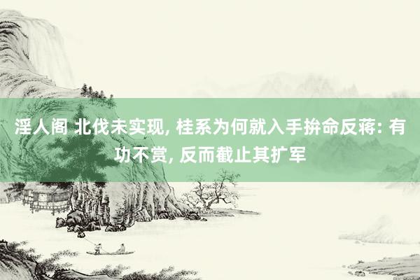 淫人阁 北伐未实现， 桂系为何就入手拚命反蒋: 有功不赏， 反而截止其扩军