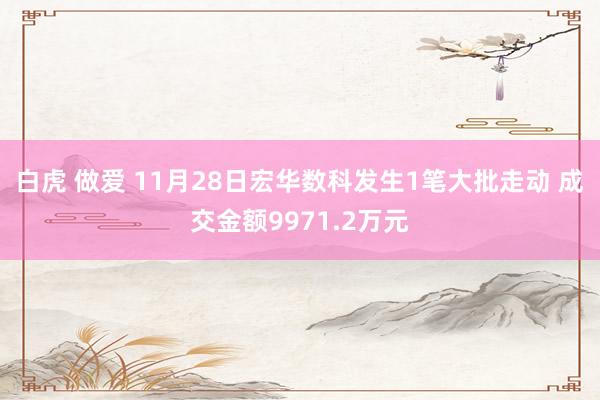 白虎 做爱 11月28日宏华数科发生1笔大批走动 成交金额9971.2万元