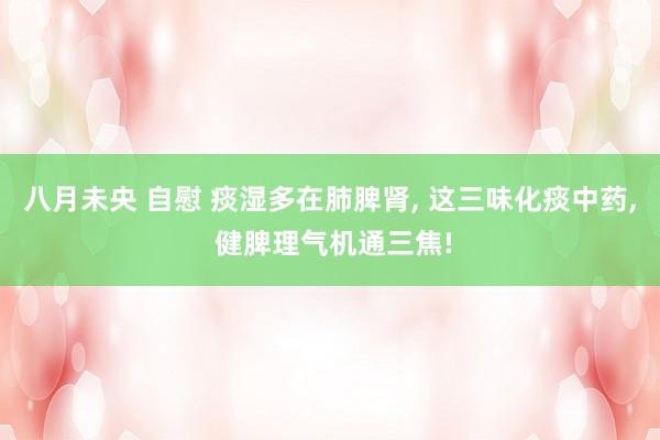八月未央 自慰 痰湿多在肺脾肾， 这三味化痰中药， 健脾理气机通三焦!